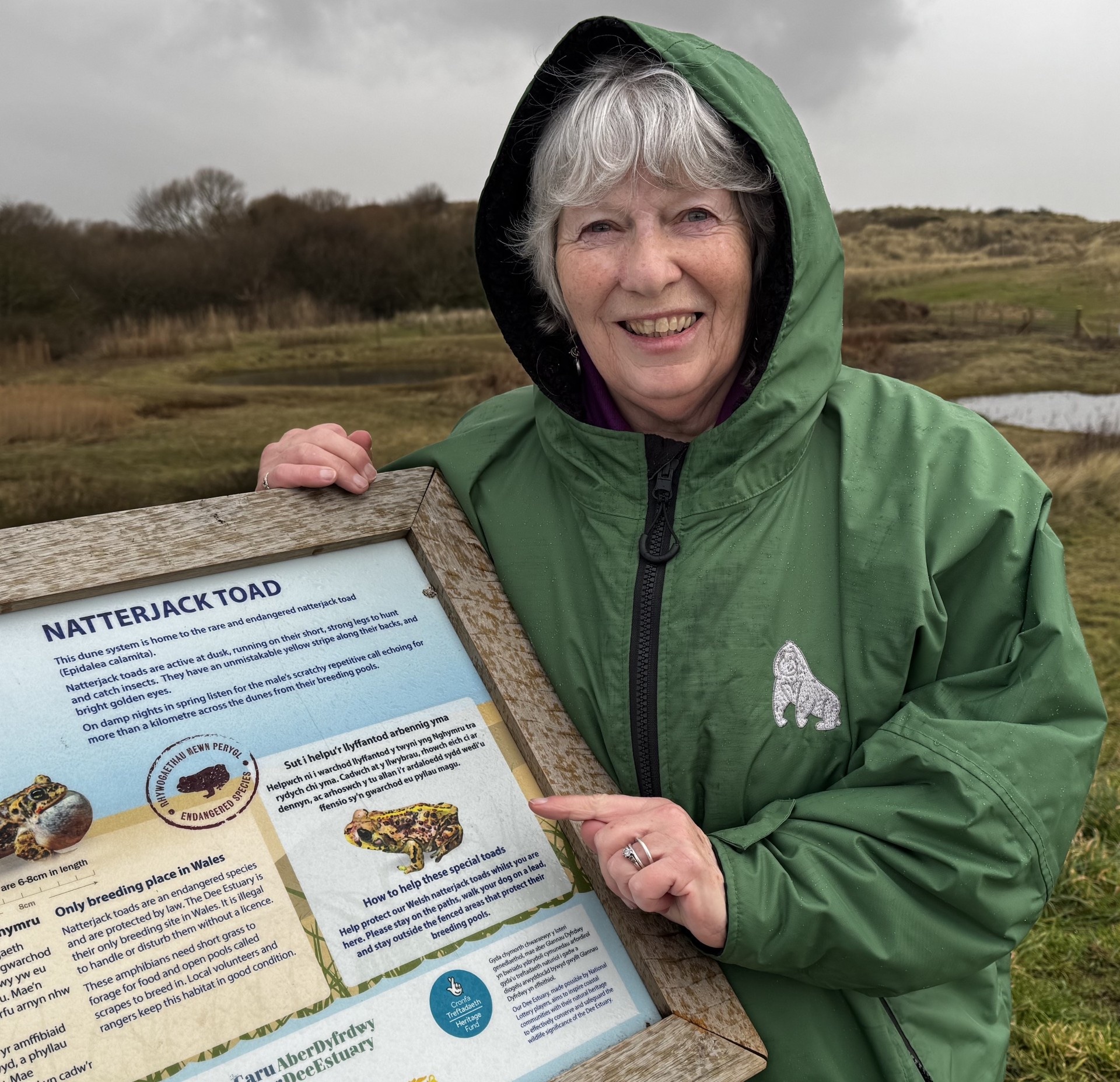 Natterjack Toad