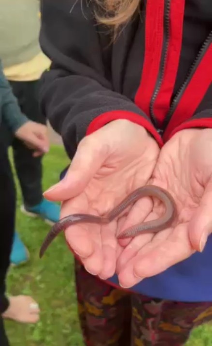 Earthworm