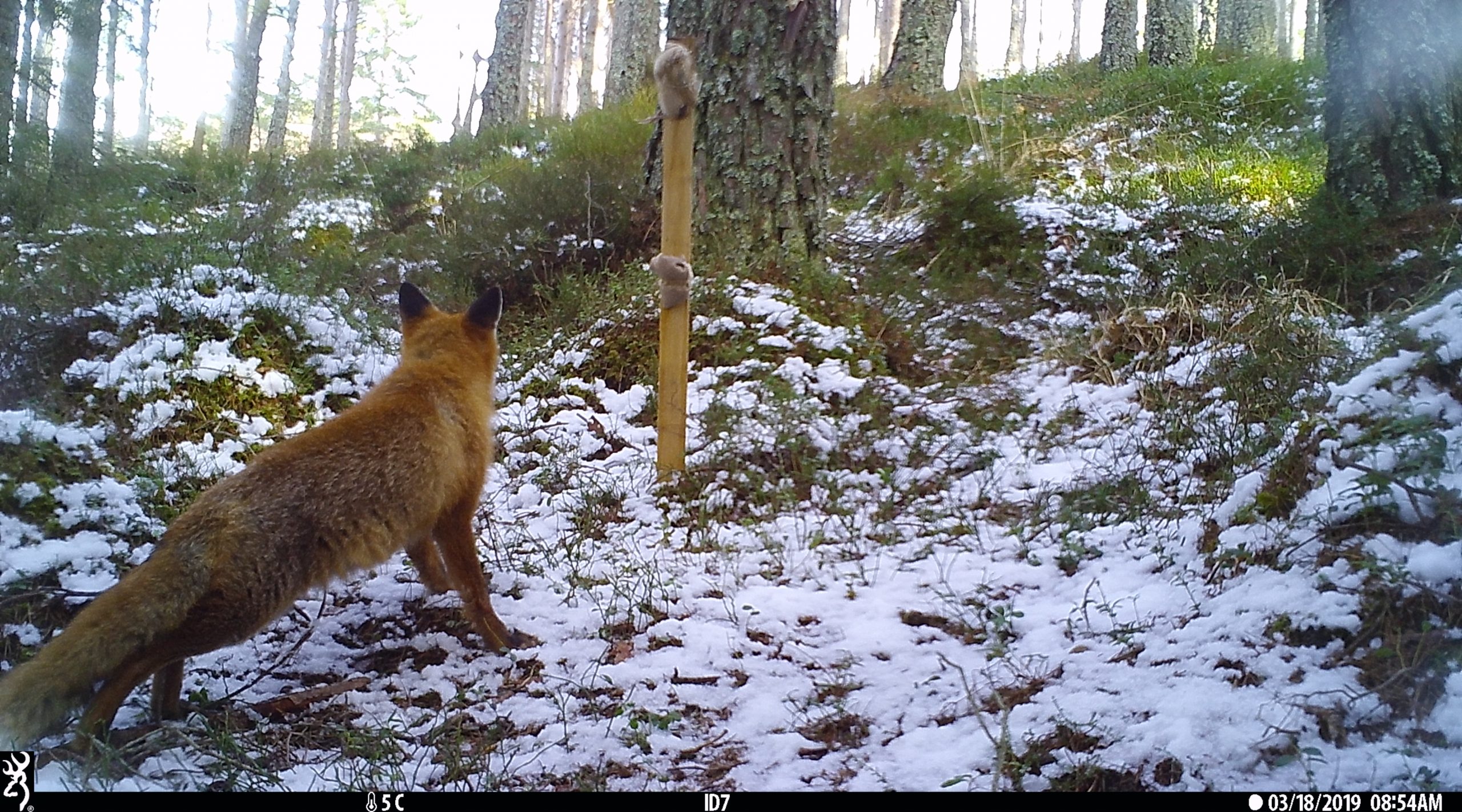 Cristian Navarro Waggershauser